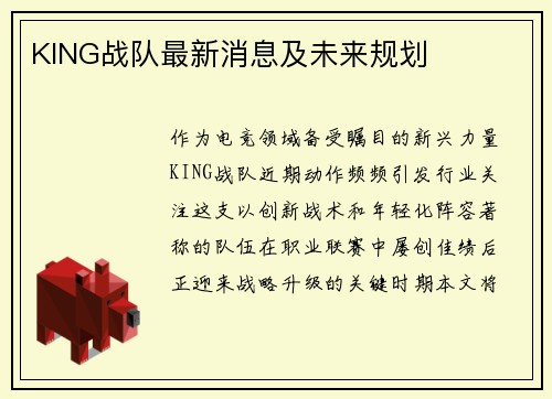 KING战队最新消息及未来规划