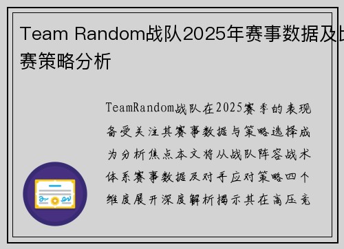 Team Random战队2025年赛事数据及比赛策略分析